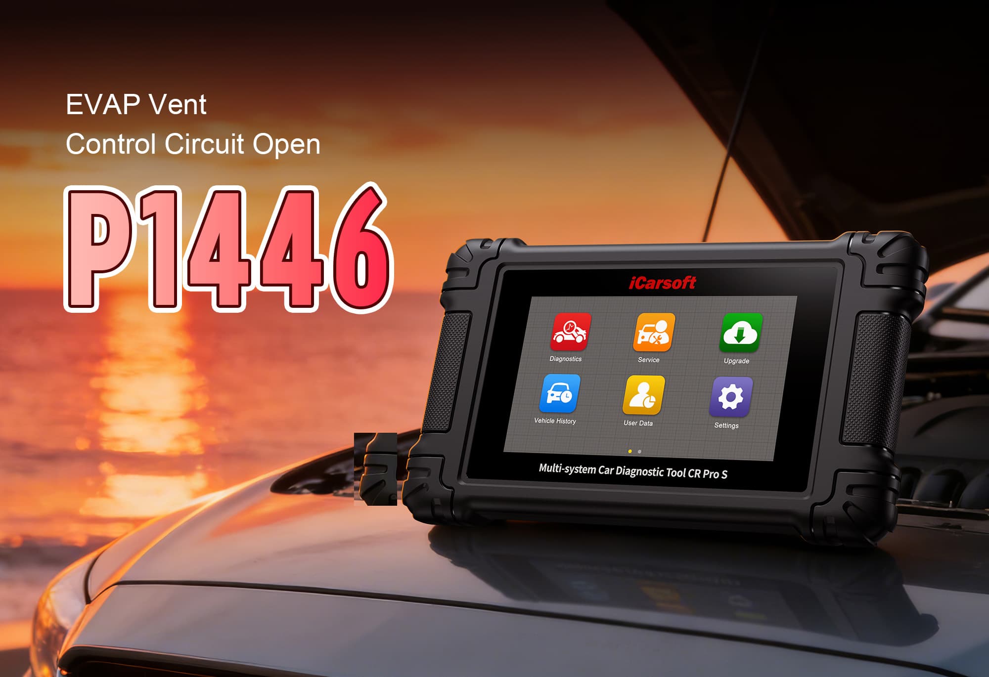 What is P1446?