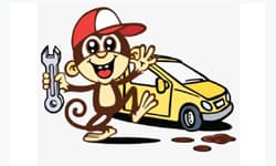 Specific Trouble Codes for Subaru