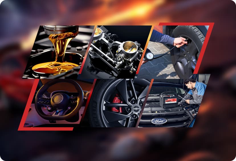9 Hot Service Functions covering your daily maintenance needs.